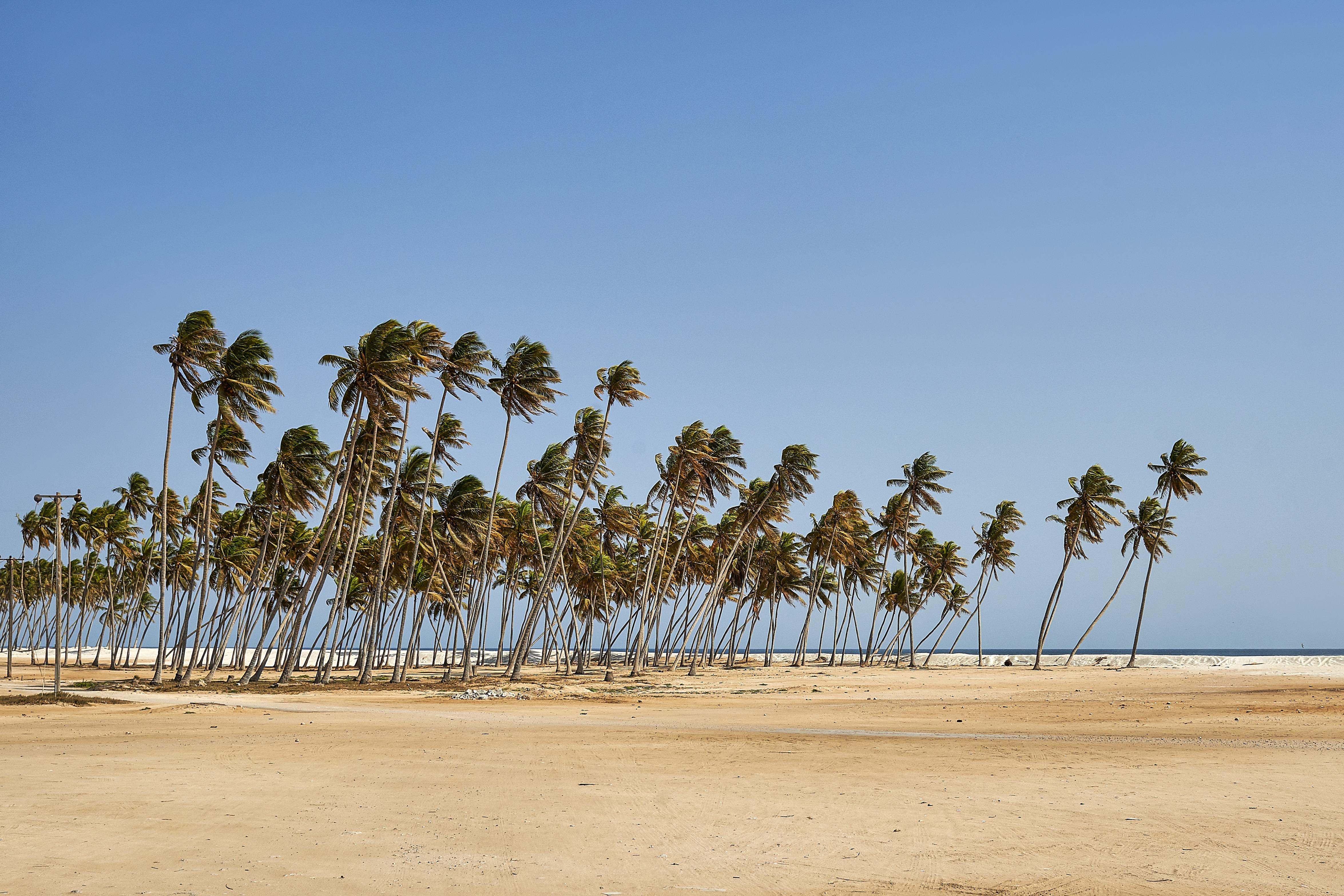 Salalah Gardens Hotel Managed By Safir Hotels & Resorts Kültér fotó